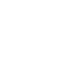 Logo Ball